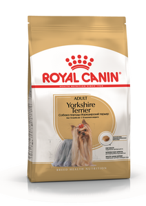 K_Yorkshire Terrier