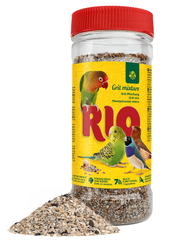 Rio_smes