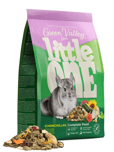 Littl_one_green_valley_chinchillas