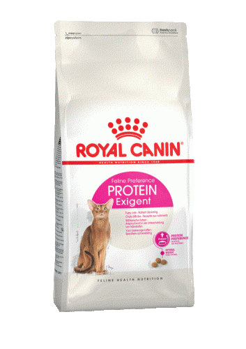 C_Protein Exigent