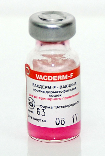 vacdrem_F
