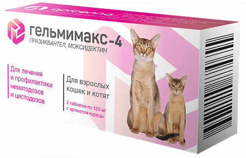 gelmimaks_4_cat