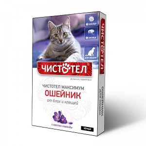 chistotel_maksimum_koshki_chern.