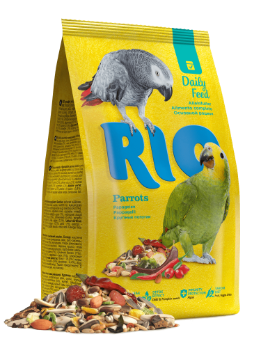Rio_parakeets_mouling_Parrots