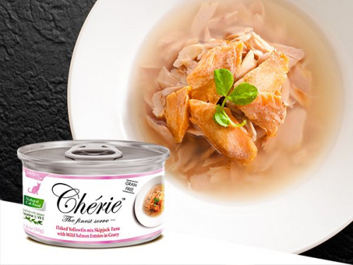 chgravy_t+salmon