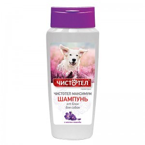 chistotel_maksimum_shampun_sobaki