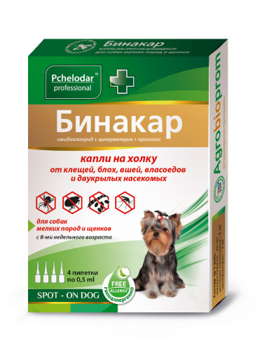 binakar_small_dog