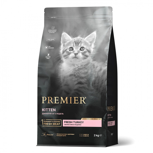 P_kitten_2_kg
