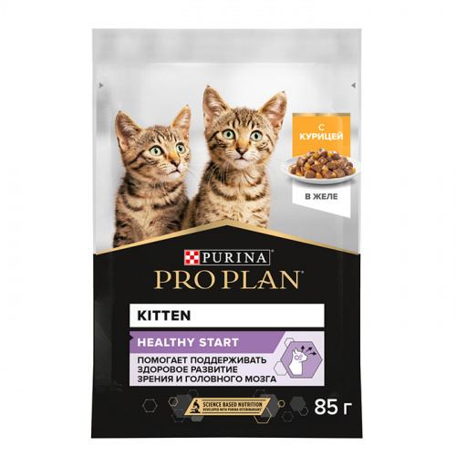 PP_Kitten_chiken_85