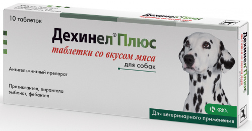Dehinel_Flavour-N10