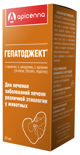 gepatodjekt20web
