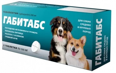 gabitabs_500_mg