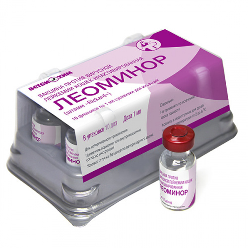 Leominor