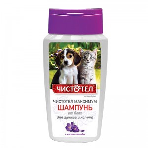 Chistotel_maksimum_kotyta