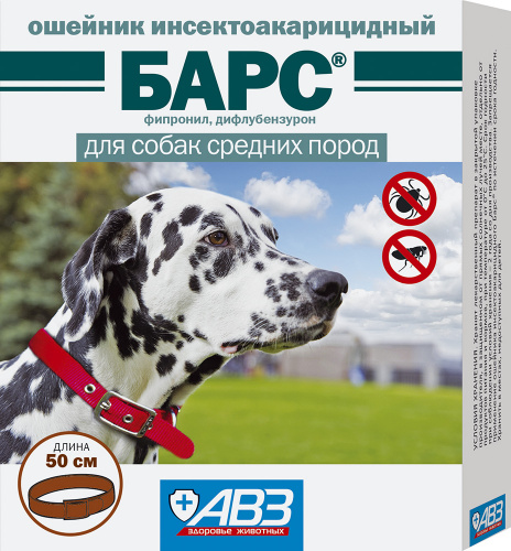 bars_osh_3
