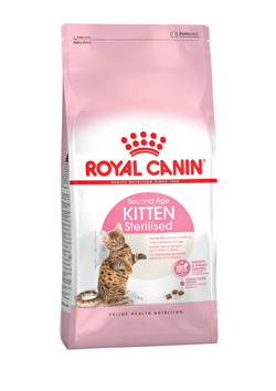 C_Kitten-sterilised