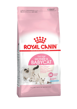 C_Mother-and-babycat