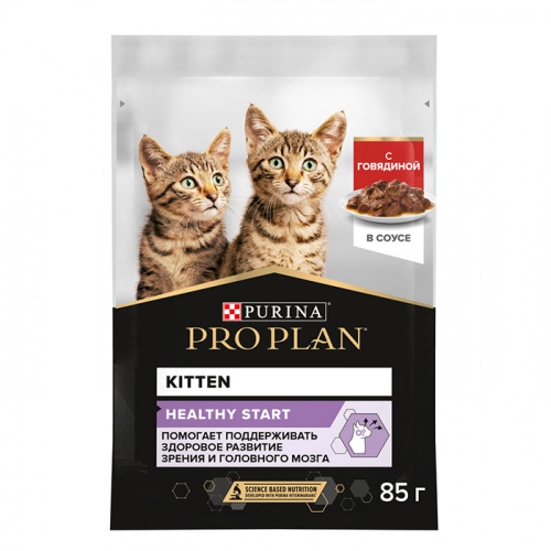 PP_kitten_beef_85
