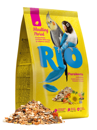 Rio_parakeets_mouling_Perion