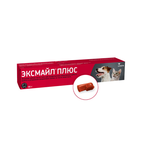 eksmail_plus
