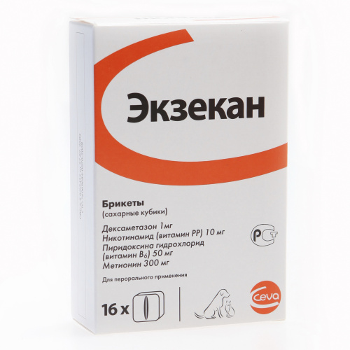 Экзекан1