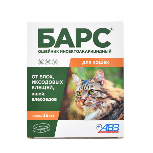 Bars_osheinik_Cat