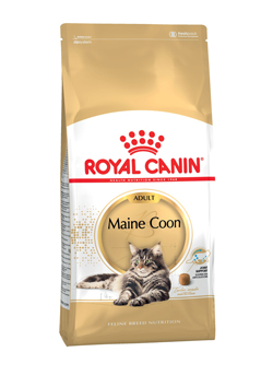 E_Maine-Coon