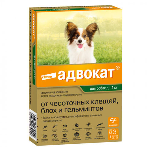 advokat_dog_4_kg
