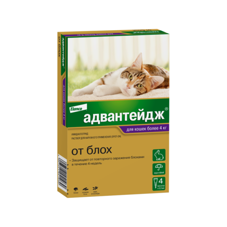 advanteidg_ot_4_kg