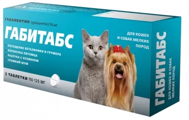 gabitabs_125_mg