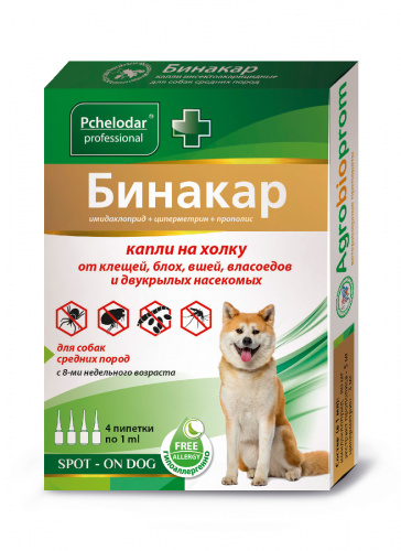 binakar_medium_dog