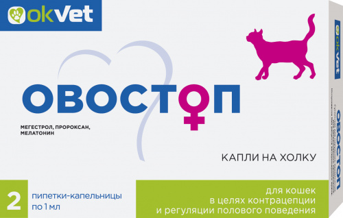 ovostop_koshki
