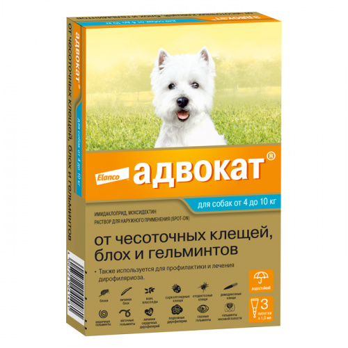 advokat_dog_4_10_kg