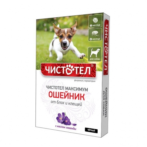 chistotel_maksimum_sobaki_chern