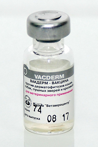 vacdrem