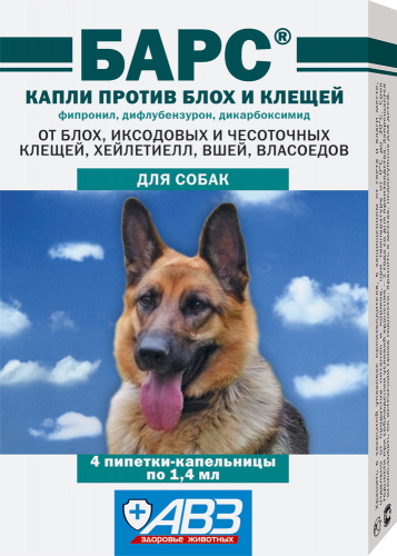 bars_kapli_insect_dog