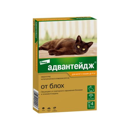 advanteidg_do_4_kg
