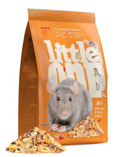 Littl_one_rats