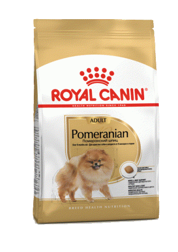 BHN_Pomeranian Adult dry_packshot