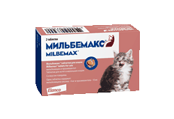milbemaks_kitten