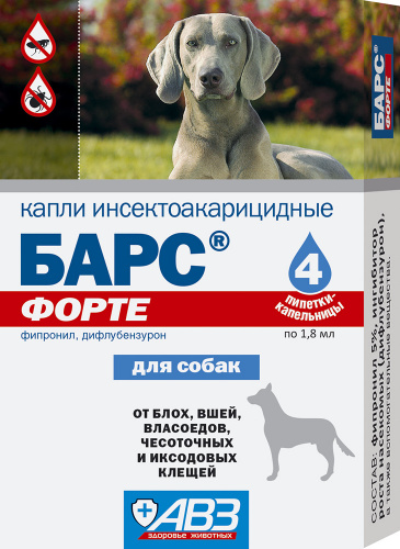 bars_Forte_kapli_1