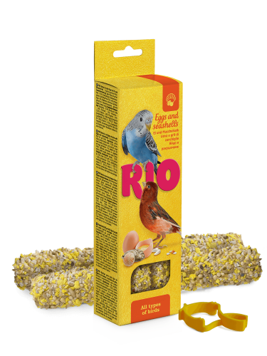 Rio_all_types_of_birds