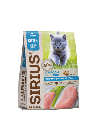 Sirius_kitten