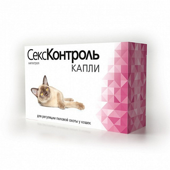 seks_kontrol_dly_koshek