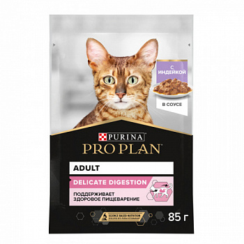 PP_Delicate_turkey_85