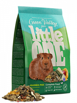 Littl_one_green_valley_guinea_pigs