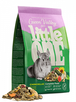 Littl_one_green_valley_chinchillas
