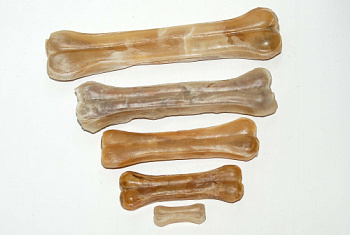 kosti_iz_zhil