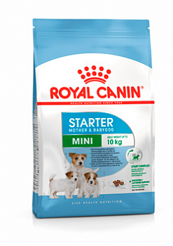 I_Mini-Starter-Mother&Babydog