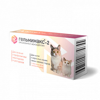 Gelmimaks_cat_2